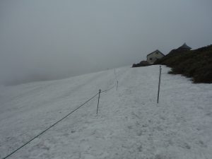 山頂付近の残雪、約400m